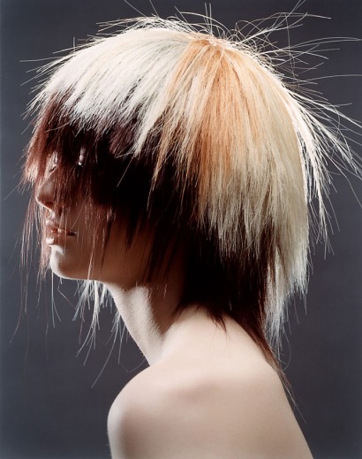 7-Vogue-Hair-X-Static-8_Indira-Cesarine.jpg