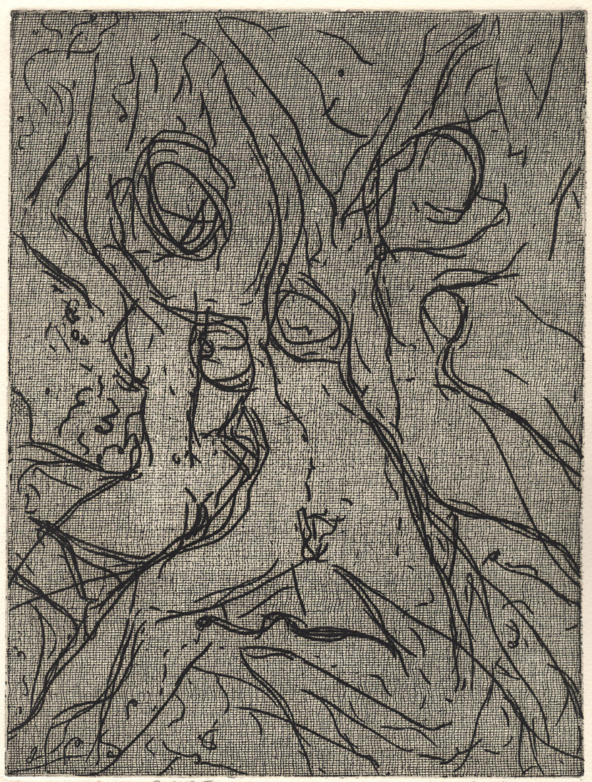 Indira-Cesarine-Multifaceted-no-crop-Intaglio-Ink-on-Rag-Paper-The-Sappho-Series-1993.jpg