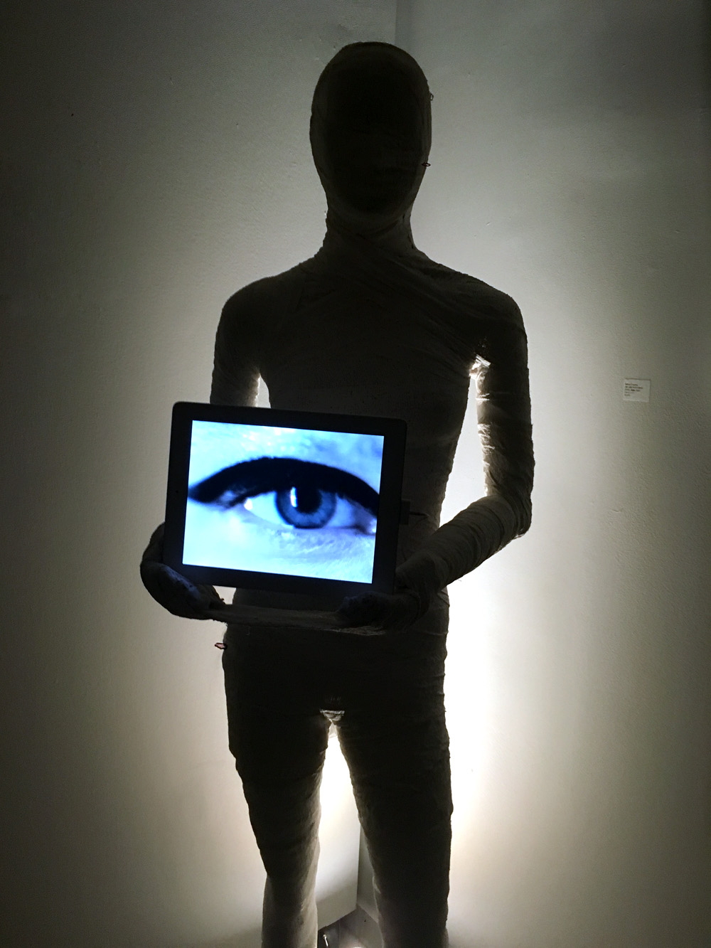 We-Are-Watching-You-Sculpture-Video-Art-Artist-Indira-Cesarine-1lr.jpg