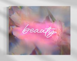 I SEE BEAUTY - INSTALL VIEW – Indira Cesarine